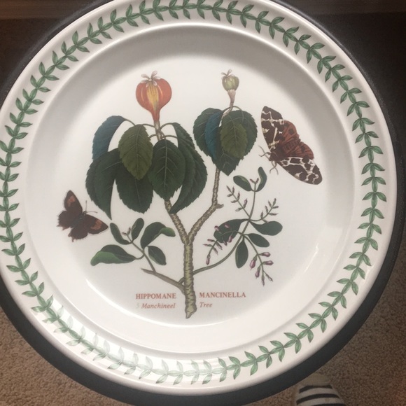 Portmeirion Other - Botanic Garden Dinner Plate